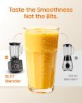 Reslee 30000RPM Professional Blender for Smoothies