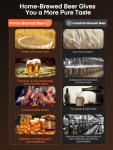 FOHERE Electric All-in-One Home Beer Brewing System