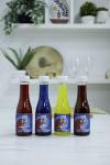 ICEE Slushie Syrups Variety Pack - 4 Flavors