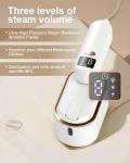 Portable Handheld Travel Steamer Iron - 1200W