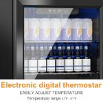 DOGHLY Mini Beverage Fridge with Glass Door