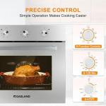 Gasland 24-Inch Electric Wall Oven with Convection