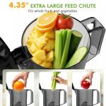 High Yield Cold Press Juicer with Wide Chute