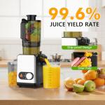 High Yield Cold Press Juicer with Wide Chute