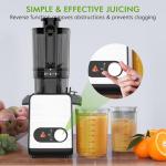 High Yield Cold Press Juicer with Wide Chute