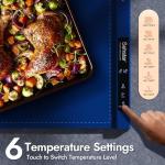 Portable Electric Warming Tray with Timer and Lock