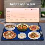 Portable Electric Warming Tray with Timer and Lock