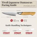 Damascus Paring Knife with Ergonomic Olive Wood Handle