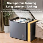 2.0 Cu. Ft. Black Chest Freezer with Basket