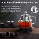 Topwit BPA-Free Glass Electric Kettle with Infuser