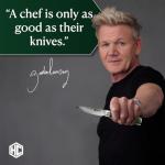 HexClad 3.5-Inch Damascus Paring Knife with Pakkawood Handle