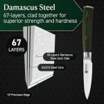 HexClad 3.5-Inch Damascus Paring Knife with Pakkawood Handle