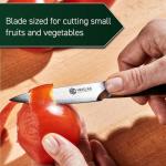 HexClad 3.5-Inch Damascus Paring Knife with Pakkawood Handle