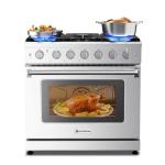AAOBOSI 36” Gas Range Oven with 6 Burners