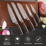 Sunnecko 5-Piece Professional Chef Knife Set