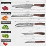 Sunnecko 5-Piece Professional Chef Knife Set