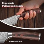 Sunnecko 5-Piece Professional Chef Knife Set