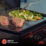 Megamaster Portable 2-Burner Gas Griddle