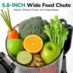 Cold Press Juicer with Wide Feed Chute, Dark Grey