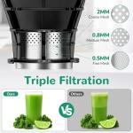 Cold Press Juicer with Wide Feed Chute, Dark Grey