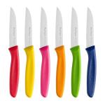 Ruffulon Stainless Steel Paring Knife Set (6 Pieces),Ultra Sharp Vegetable and Fruit Knife, Colorful Paring Knife with Straight Edge,Small Kitchen Knife with PP Plastic Ergonomic Handle