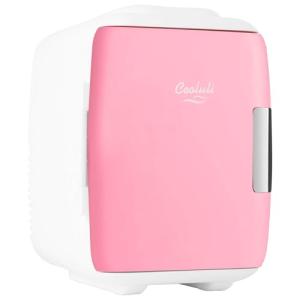 Portable Mini Fridge for Food, Drinks & Skincare