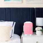 Portable Mini Fridge for Food, Drinks & Skincare