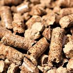Bear Mountain All Natural Wood Pellets for Smoker, Grill & BBQ, 40 Lbs, Cherry - Premium Hardwood Barbecue Pellet Accessories for Indoor and Outdoor Grilling