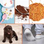 Shark HydroVac MessMaster Wet Dry Corded Vacuum Cleaner, 3-in-1 Multi-Surface Vacuum Mop & Self-Cleaning System, Lightweight, Powerful Suction, for Hard Floors & Area Rugs, Navy, WD161