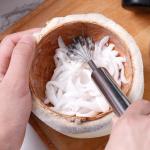4 Pcs Coconut Meat Removal Scraper Tools, Stainless Steel Coco Nut Kinfe, Copra Cocoanut Pulp Shredder, Fish Skin Scaler for Kitchen, Grater, Peeler and Slicer, Coconut Grater, Silver