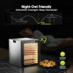 Food Dehydrator 12 Trays 850W, Stainless Steel Food Dryer with Adjustable Timer & Temperature (95-165°F) for Beef Jerky, Fruit, Herbs, Dog Treats