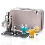 USEEKRIL Travel Martini Kit with 2 Glasses,Travel Bartender Kit with Case Recipe Cards, Cocktail Shaker Set for Cocktail Mixer,Martini Gift Shaker Set for Home Outdoor Party