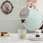 Evoloop Electric Tea Kettle, 1500W /1.0L Hot Water Boiler Heater Pot, Retro Small Electric Kettle, 100% Stainless Steel BPA Free Electric Teapot, Auto Shut-Off & Boil-Dry Protection