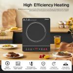 Panana Portable Induction Cooktop Hot Plate Countertop Burner 1800W, 10 Temp Levels, Timer, Auto-Shut-Off, Touch Panel, LED Display, Auto Pot Detection, Child Safety Lock (LED Display - Silver)