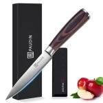 PAUDIN Utility Knife, 5 Inch Chef Knife, Ultra Sharp High Carbon Stainless Steel, Multipurpose Paring Knife for Fruit and Vegetable Cutting with Wooden Handle, Premium Gift Box