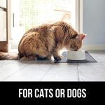 Waterproof Silicone Pet Feeding Mat for Dogs & Cats