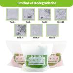 100% Compostable Large Gallon Zip Bag | ECO-Friendly Food Storage Bags | Freezer Bag | Plant-Based BPA-free | Seal well for Fruit,Food and Snack (1, Large)