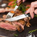 HAUSHOF Steak Knives Set of 8, German Stainless Steel Premium Serrated Steak Knife Set with Gift Box, Full Tang Design with Ergonomic Handle, Gifts Knife Set for Dad, Mom, Husband and Wife