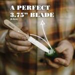 Opinel No. 112 Paring Knives 2 Piece Set, Sandvik 12C27 Steel Everyday Use Prep Knives for Chopping, Peeling, Slicing, Trimming, Stabilized Sustainably Harvested Beechwood Handles, Made in France