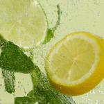 Kayser Seltzer Water Maker Cartidges | Soda Chargrers for Soda Water, Sparkling Water and Sodas Creation | Soda Makers Cartridges Compatible with Soda Siphon and Soda Can Dispensers | 20 pack, 8g