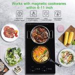 GTKZW 12“ Induction Cooktop, Double Induction Cooktop 2 Burner 110v-120v Electric Stove Top, Countertop and Built-in, 9 Power Levels, Child Lock, 120 Mins Timer