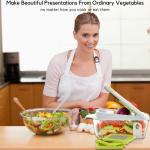 Brieftons QuickPush Food Chopper: Strongest & 200% More Container Capacity, 30% Heavier Duty, For Onion, Fruit and Vegetable Chopping, with 3 Dicer Cutter Blades, Keep-Fresh Lid, and 5 Recipe Ebooks