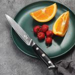 QIANFENGSHENG Damascus Kitchen Utility Knife, 5.5" Paring Knife VG10 Damascus Stainless Steel, 67-Layer Forged Blade, Perfect for Peeling, Slicing & Trimming