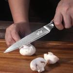 QIANFENGSHENG Damascus Kitchen Utility Knife, 5.5" Paring Knife VG10 Damascus Stainless Steel, 67-Layer Forged Blade, Perfect for Peeling, Slicing & Trimming