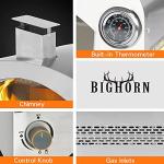 Portable Gas Pizza Oven with 13-Inch Stone