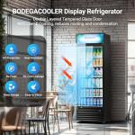 BODEGACOOLER Commercial Merchandiser Refrigerator, 15.5Cu. Ft Glass Door Upright Display Fridge, Beverage Refrigerator Cooler with LED Light, 4 Strong Castors for Stores, Restaurant, Office(Black)