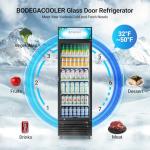 BODEGACOOLER Commercial Merchandiser Refrigerator, 15.5Cu. Ft Glass Door Upright Display Fridge, Beverage Refrigerator Cooler with LED Light, 4 Strong Castors for Stores, Restaurant, Office(Black)