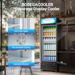 BODEGACOOLER Commercial Merchandiser Refrigerator, 15.5Cu. Ft Glass Door Upright Display Fridge, Beverage Refrigerator Cooler with LED Light, 4 Strong Castors for Stores, Restaurant, Office(Black)