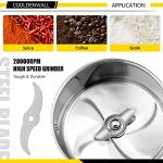CGOLDENWALL 700g Electric Grain Grinder Mill Safety Upgraded 2400W High-speed Spice Herb Grinder Commercial Superfine Grinding Machine Dry Cereals Pulverizer CE 110V (700g Swing Type)