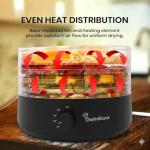 Food Dehydrator FD704M – 5 Tray Adjustable, BPA-Free – 4-Hour Quick Drying, Even Heat, Easy Temp Control – Fruit, Veggie, Meat Jerky Maker (Black)